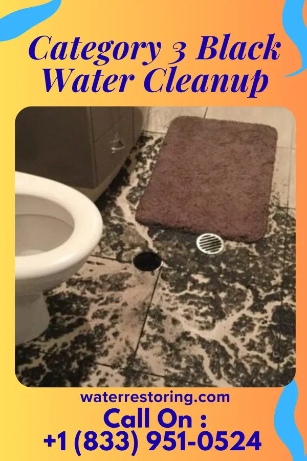 Category 3 Black Water Cleanup in Ardoch, ND