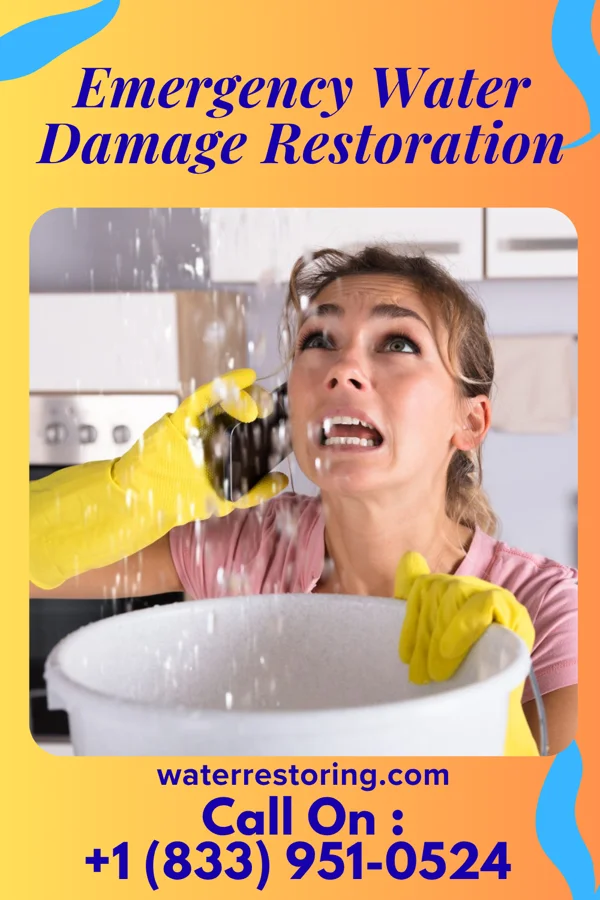 Emergency Water Damage Restoration in Ardoch, ND
