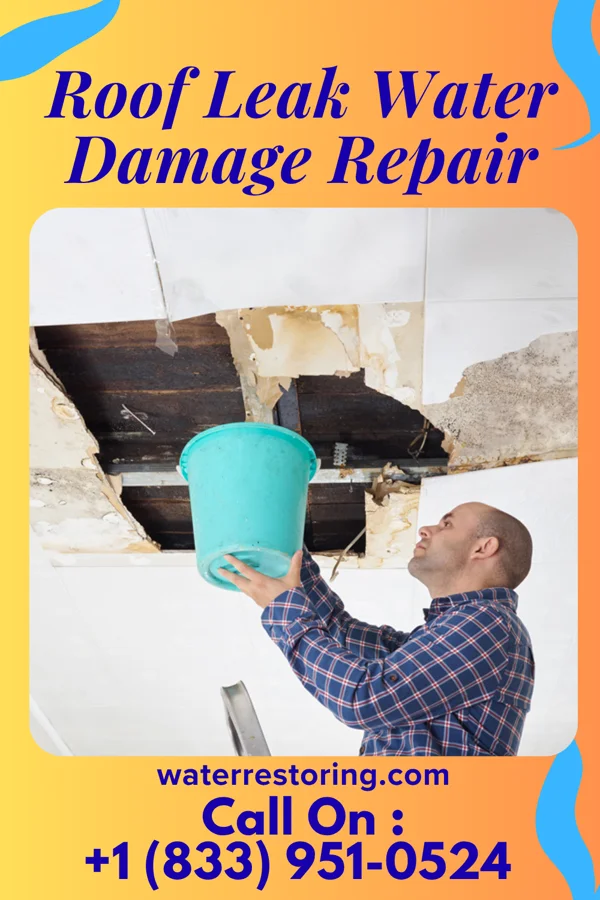 Roof Leak Water Damage Repair in Ardoch, ND
